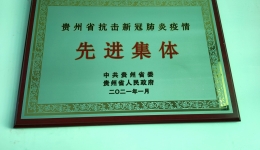贵州省抗击新冠肺炎疫情先进集体