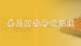 基层财政专项治理