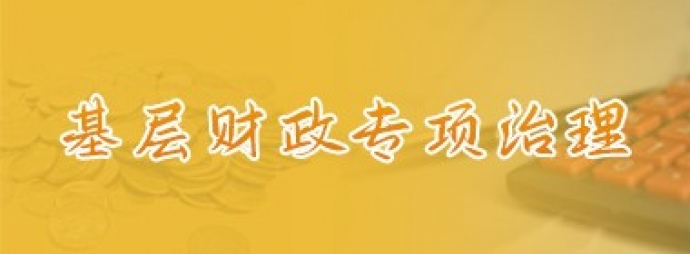 基层财政专项治理