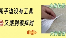 耳朵总是痒痒痒，当心这5种问题→